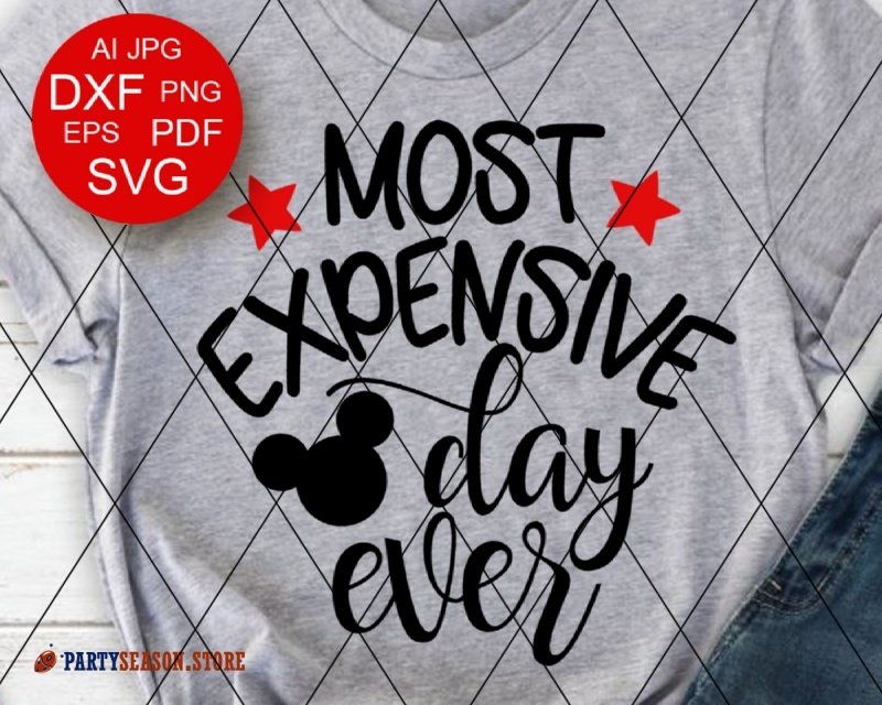 Download Most expensive day